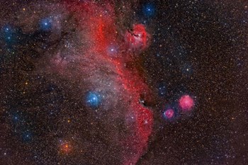 Seagull Nebula, Ic 2177 by Reinhold Wittich/Stocktrek Images art print