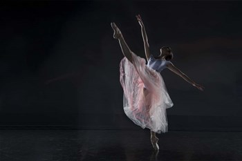 Dancer by Libby Zhang art print