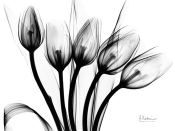 Marching Tulips by Albert Koetsier art print