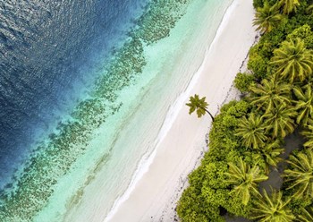 Tropical Beach, Aerial View by Pangea Images art print