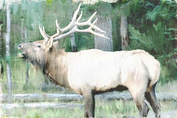 Linen Pressed Elk by Ann Bailey art print