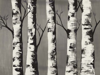 Birch Backwoods by Doris Charest art print