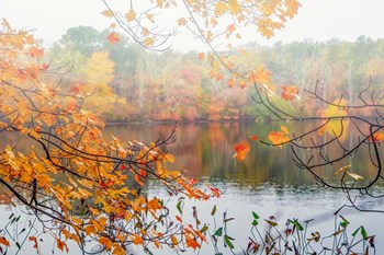 Autumn Pond by Brooke T. Ryan art print