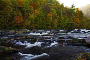 Autumn on the Tellico River by Andy Crawford Photography art print
