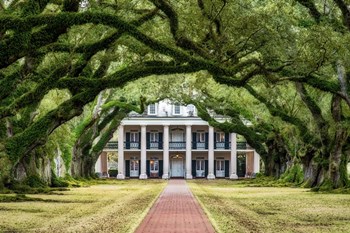 Oak Alley Plantation by Andy Crawford Photography art print