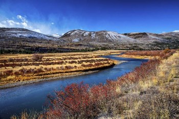 Winter at the Rio Oxbow Ranch by Andy Crawford Photography art print