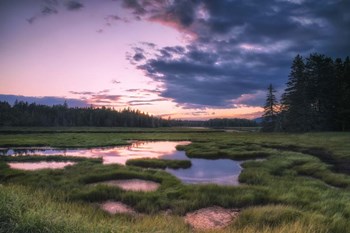 Sunset at Bass Harbor Marsh by Andy Crawford Photography art print