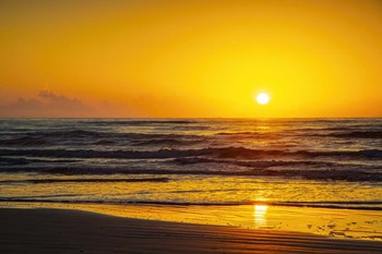 Port Aransas Gold by Andy Crawford Photography art print