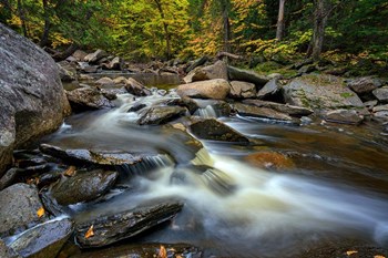 Cascade Stream by Rick Berk art print