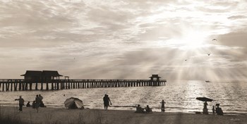 Sunset at Naples Pier by Lori Deiter art print