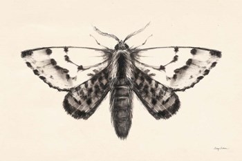 Moth IV by Avery Tillmon art print