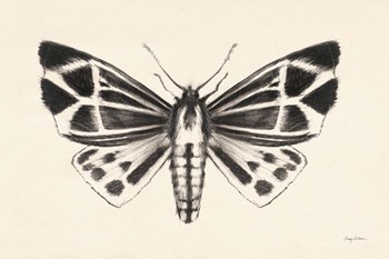 Moth III by Avery Tillmon art print