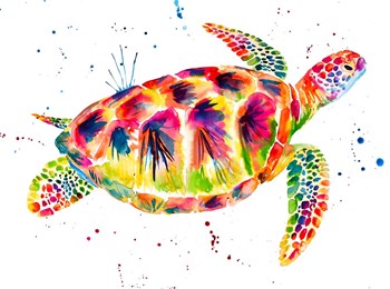 Sea Turtle by Jenn Seeley art print