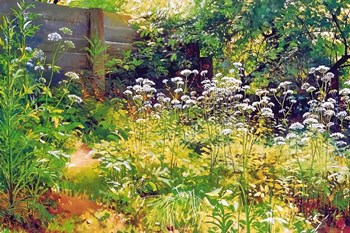 Garden Corner by Denise Dundon art print