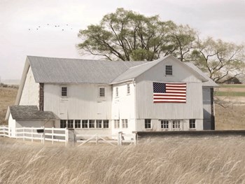 USA Patriotic Barn by Lori Deiter art print
