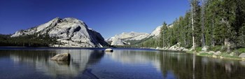 Reflection of a rock in water, Yosemite National Park by Panoramic Images art print