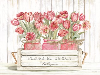 Trio of Pink Tulips by Cindy Jacobs art print