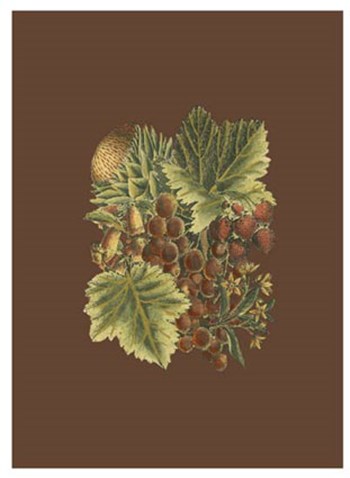 Fruit on Burgundy II art print