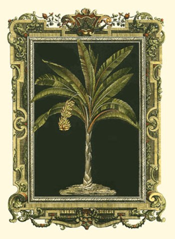 Decorative Framed Palm I art print