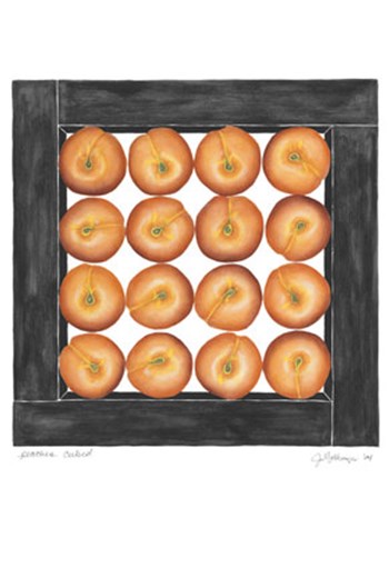 Peaches Cubed by Jennifer Goldberger art print