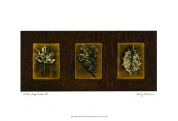 Block Leaf Panel II by Nancy Slocum art print