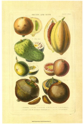 Fruits and Nuts I art print