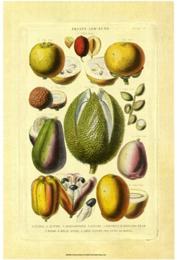 Fruits and Nuts II by Vision Studio art print