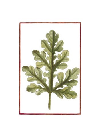Vintage Leaf II by Vision Studio art print