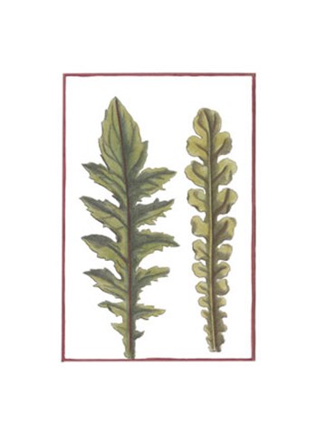 Vintage Leaf III by Vision Studio art print