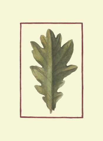 Vintage Leaf IV by Vision Studio art print