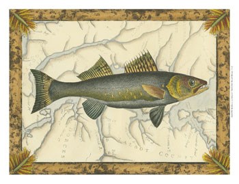 Walleye on Map by Vision Studio art print