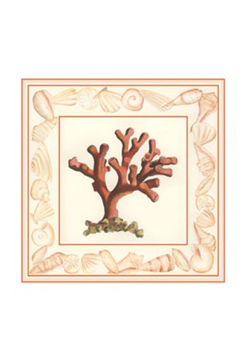Coral with Shell Border I by Vision Studio art print