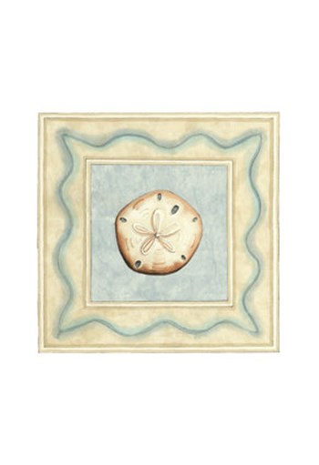 Shell Collector I by Megan Meagher art print