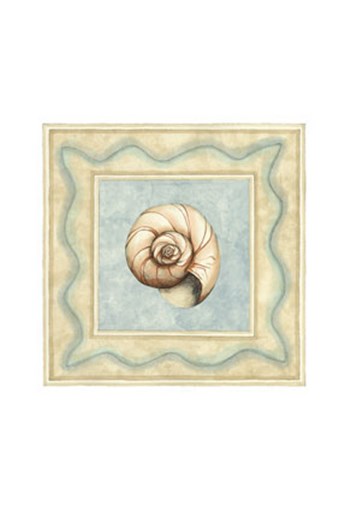 Shell Collector II by Megan Meagher art print