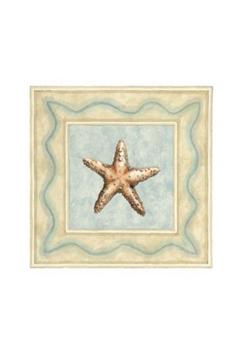 Shell Collector III by Megan Meagher art print