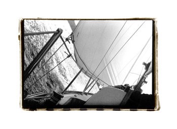 Sail Away by Laura Denardo art print