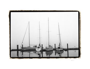 Still Waters by Laura Denardo art print