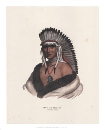 A Pawnee Brave by Mckenny &amp; Hall art print