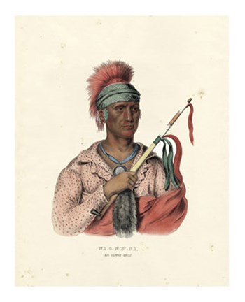 An Ioway Chief by Mckenny &amp; Hall art print