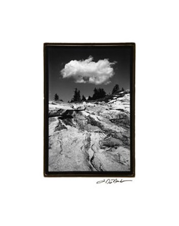 Cloud Dream by Laura Denardo art print
