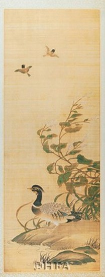 Mandarin Duck by Yanagisawa Kien art print