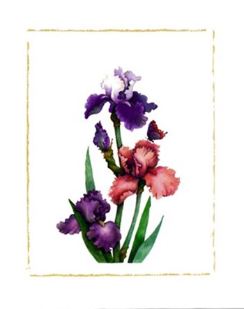 Irises of Spring II by Morgan Kari art print