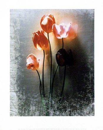 Five Tulips by Shoji Yoshida art print