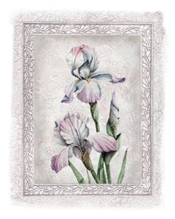 Flowers of Spring IV by Tom Wood art print