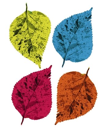 Four Leaves II by Tasmin Phoenix art print