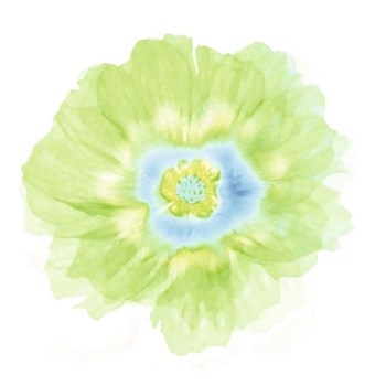 Fleur Verte by Robin art print