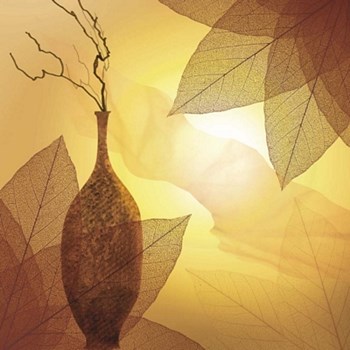 Transparence I by Robin art print