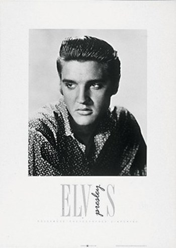 Elvis art print