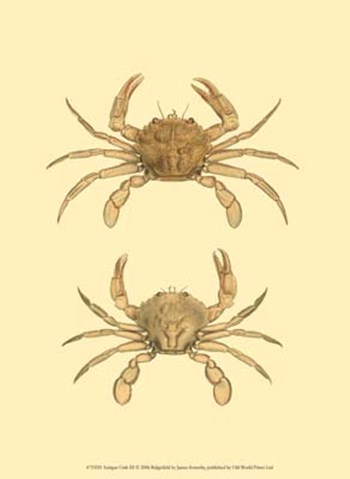 Antique Crab III by James Sowerby art print