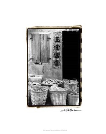 Chinese Bounty by Laura Denardo art print